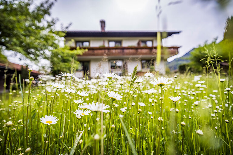 Unser Haus - Landhaus Weiß