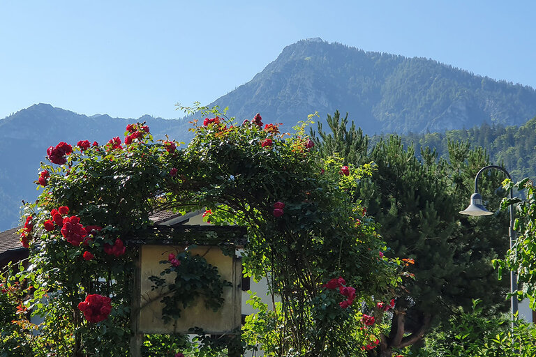 Unser Haus - Landhaus Weiß